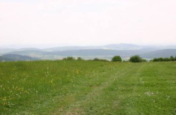 Wasserkuppe 2008