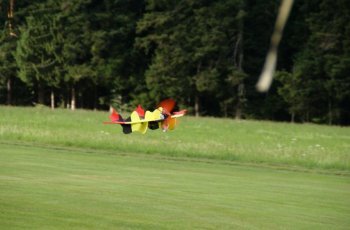 flugtag_201_20191204_1677461858