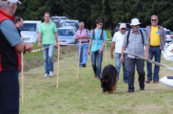 flugplatzfest_2014_bilder_brigit_20191204_1500046281