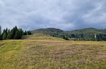 gaugen2026_18